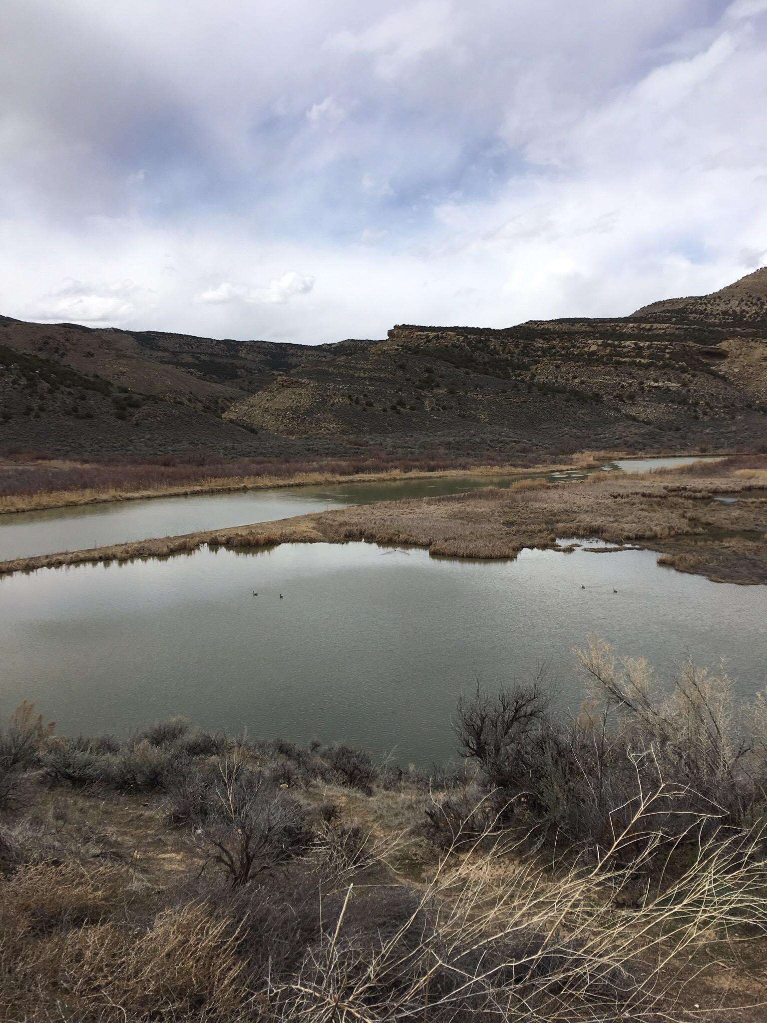 Image of Wetlands